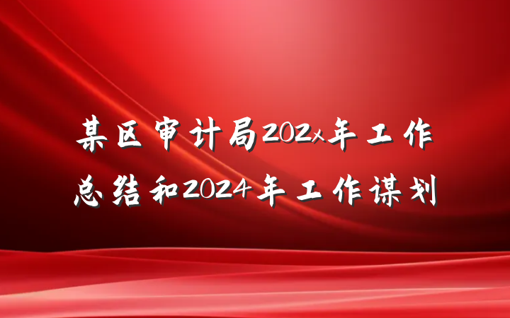某区审计局202x年工作总结和2024年工作谋划
