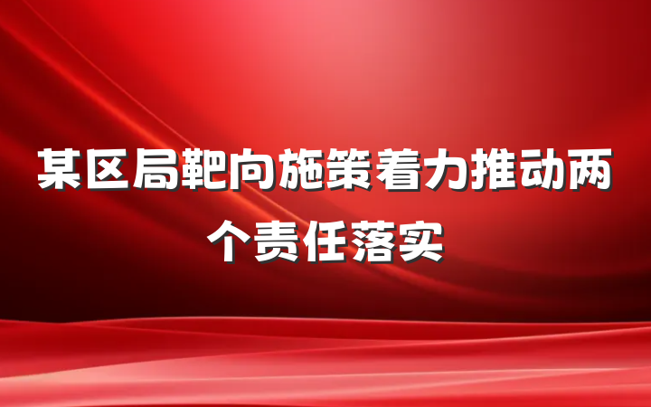 某区局靶向施策着力推动两个责任落实