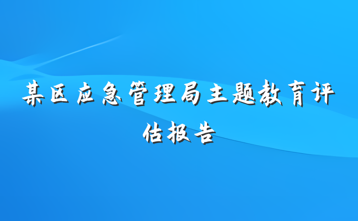 某区应急管理局主题教育评估报告