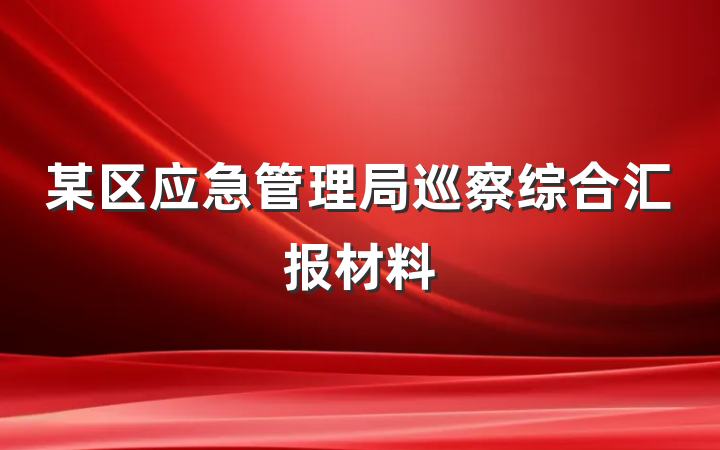 某区应急管理局巡察综合汇报材料