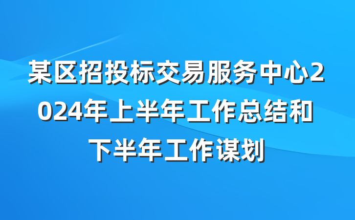 某区招投标交易服务中心2024年上半年工作总结和下半年工作谋划