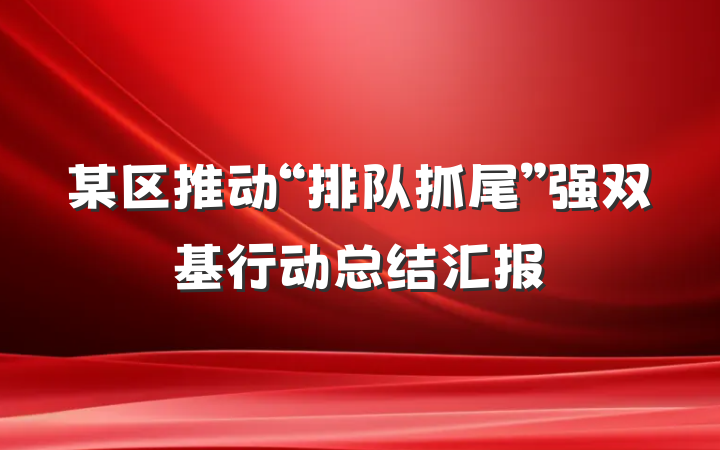 某区推动“排队抓尾”强双基行动总结汇报