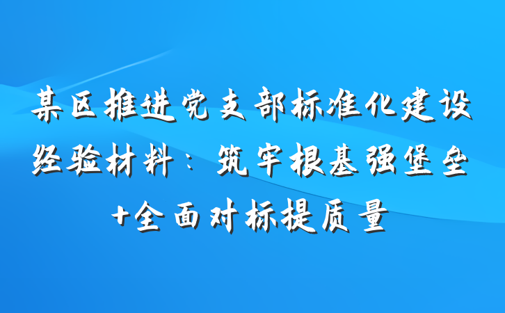 某区推进党支部标准化建设经验材料：筑牢根基强堡垒 全面对标提质量