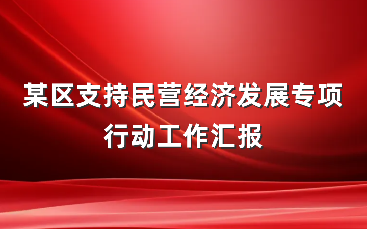某区支持民营经济发展专项行动工作汇报