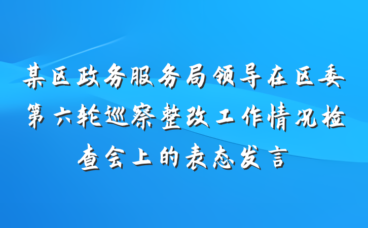 某区政务服务局领导在区委第六轮巡察整改工作情况检查会上的表态发言