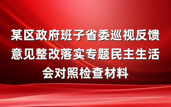 某区政府班子省委巡视反馈意见整改落实专题民主生活会对照检查材料