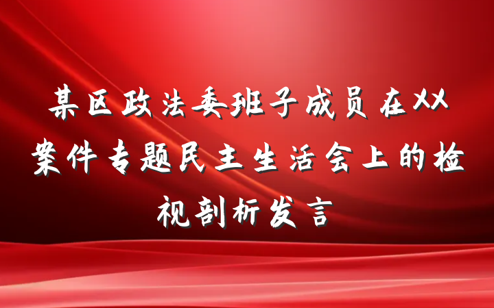 某区政法委班子成员在XX案件专题民主生活会上的检视剖析发言