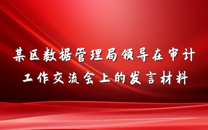 某区数据管理局领导在审计工作交流会上的发言材料