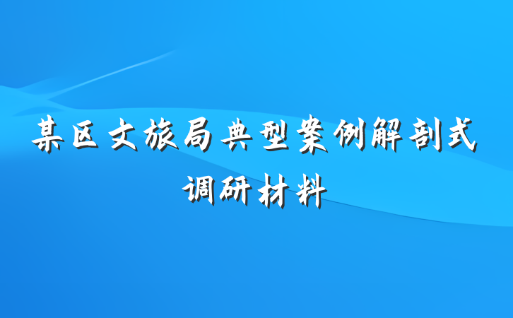 某区文旅局典型案例解剖式调研材料