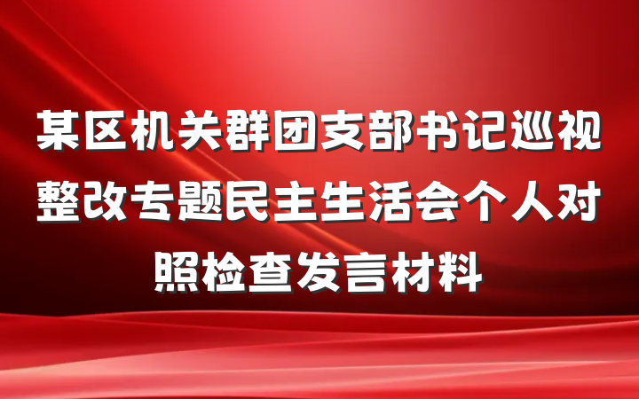 某区机关群团支部书记巡视整改专题民主生活会个人对照检查发言材料