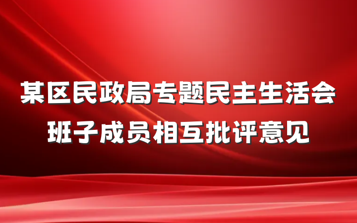 某区民政局专题民主生活会班子成员相互批评意见