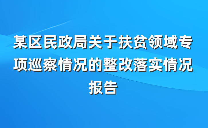 某区民政局关于扶贫领域专项巡察情况的整改落实情况报告