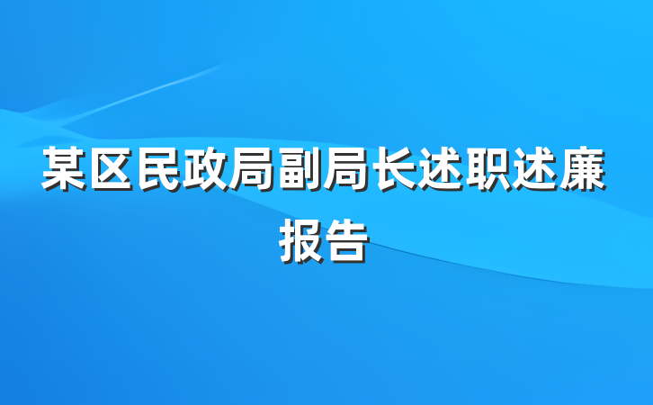 某区民政局副局长述职述廉报告