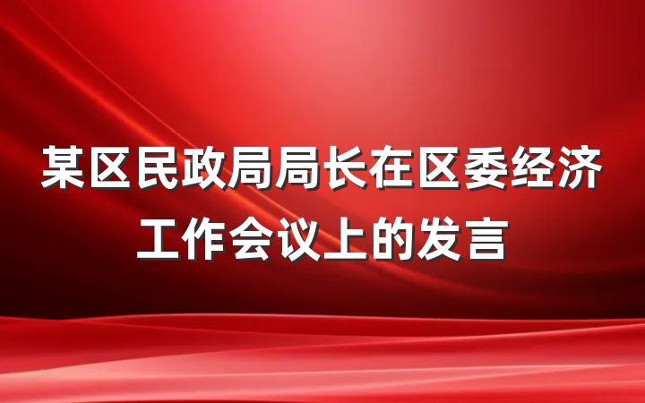某区民政局局长在区委经济工作会议上的发言