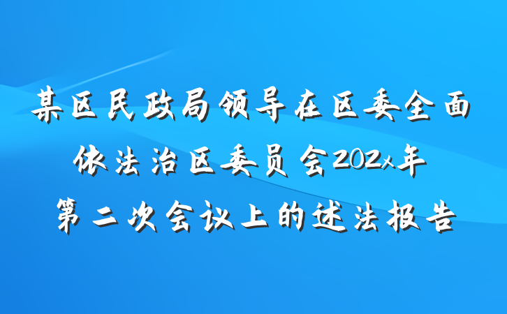 某区民政局领导在区委全面依法治区委员会202x年第二次会议上的述法报告