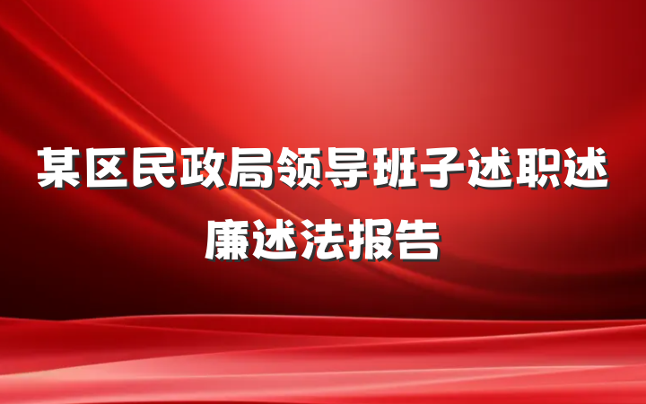 某区民政局领导班子述职述廉述法报告