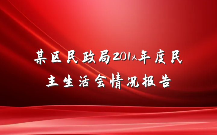 某区民政局201x年度民主生活会情况报告