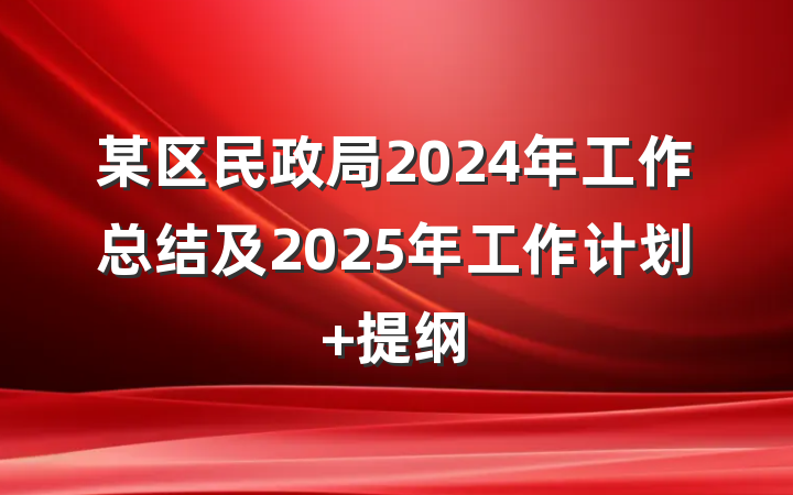 某区民政局2024年工作总结及2025年工作计划 提纲