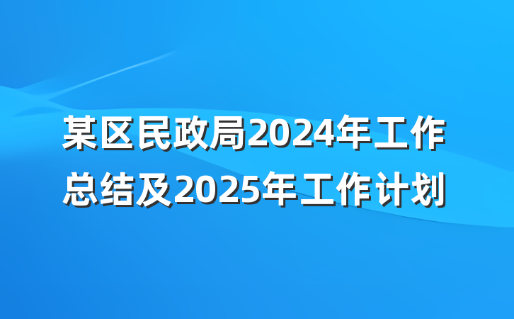 某区民政局2024年工作总结及2025年工作计划
