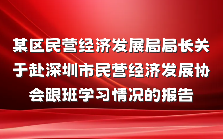 某区民营经济发展局局长关于赴深圳市民营经济发展协会跟班学习情况的报告