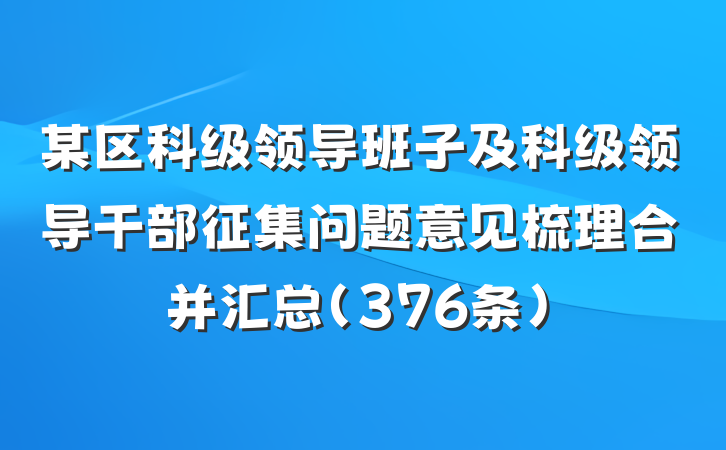 某区科级领导班子及科级领导干部征集问题意见梳理合并汇总（376条）