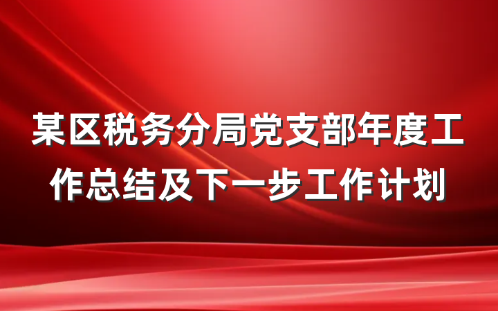 某区税务分局党支部年度工作总结及下一步工作计划