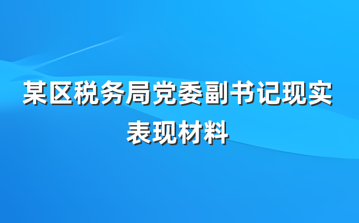 某区税务局党委副书记现实表现材料