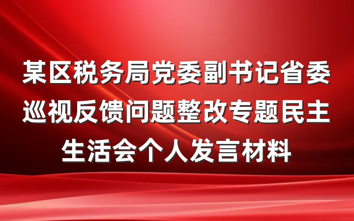某区税务局党委副书记省委巡视反馈问题整改专题民主生活会个人发言材料