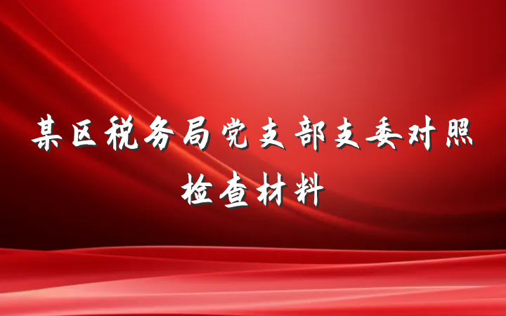 某区税务局党支部支委对照检查材料