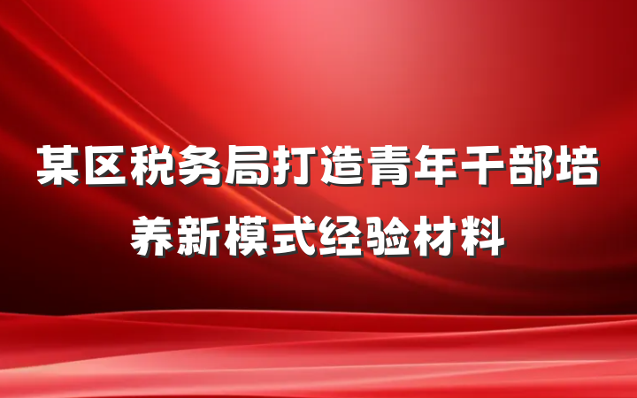 某区税务局打造青年干部培养新模式经验材料