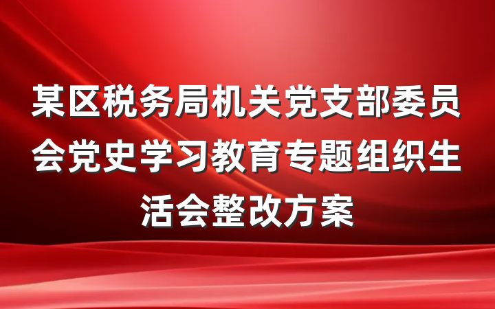 某区税务局机关党支部委员会党史学习教育专题组织生活会整改方案