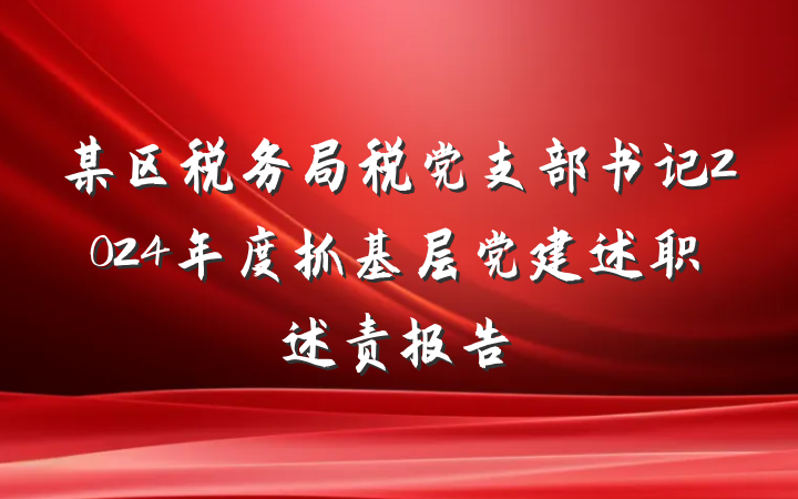 某区税务局税党支部书记2024年度抓基层党建述职述责报告