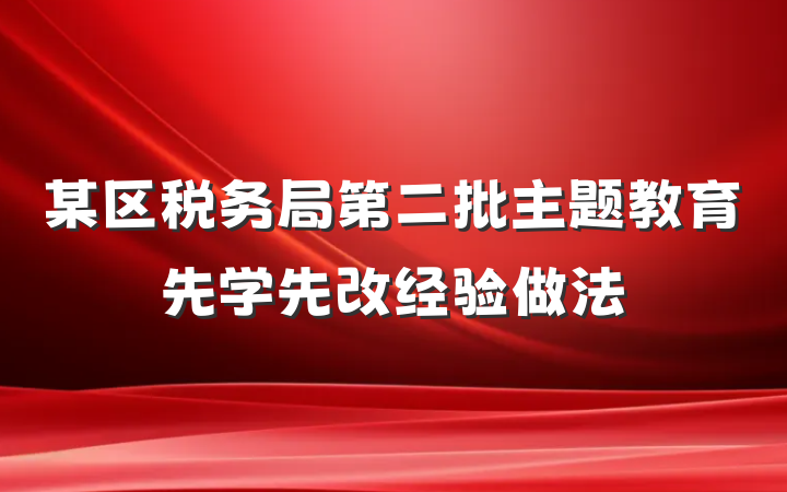 某区税务局第二批主题教育先学先改经验做法