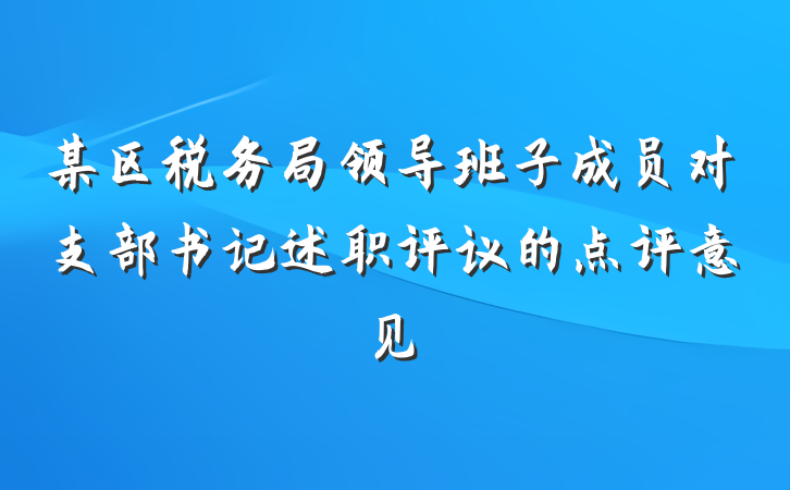 某区税务局领导班子成员对支部书记述职评议的点评意见