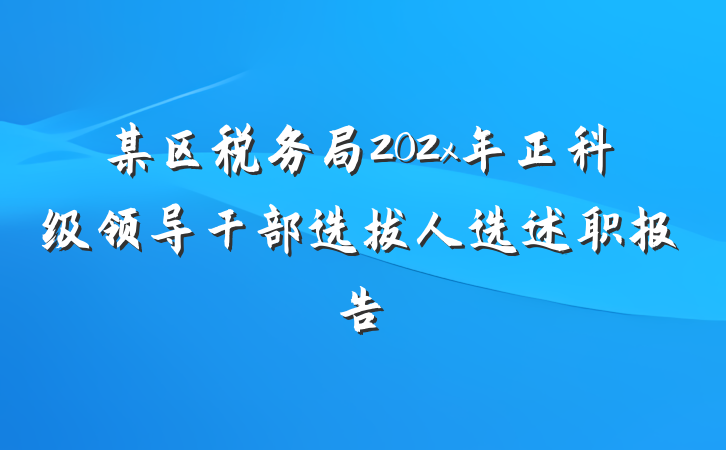 某区税务局202x年正科级领导干部选拔人选述职报告