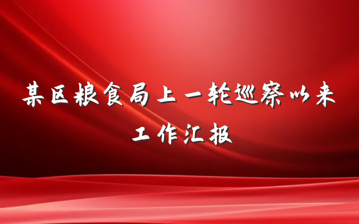 某区粮食局上一轮巡察以来工作汇报