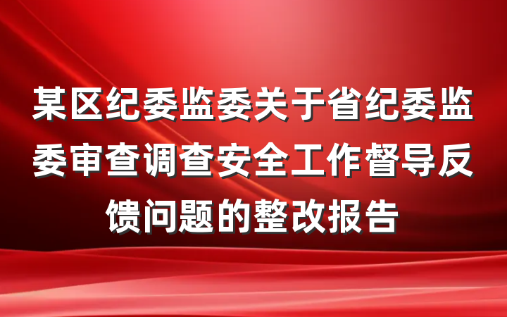 某区纪委监委关于省纪委监委审查调查安全工作督导反馈问题的整改报告