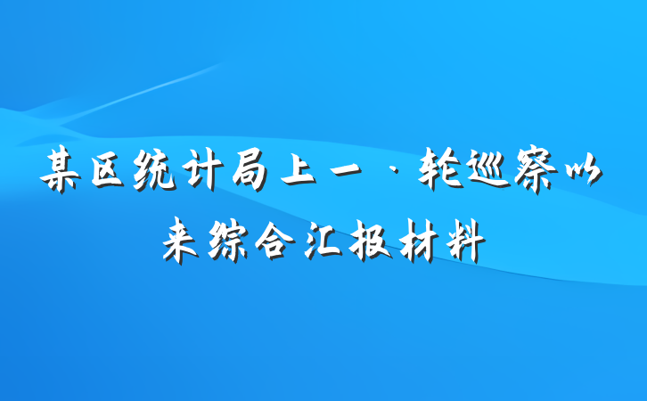 某区统计局上一·轮巡察以来综合汇报材料