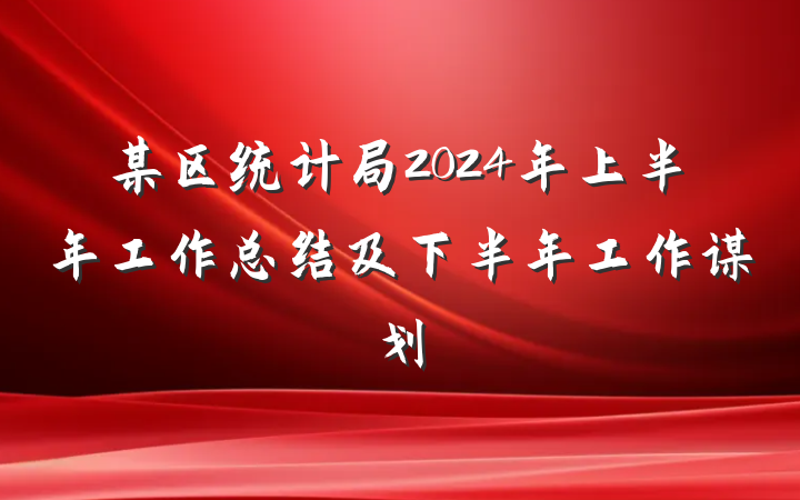 某区统计局2024年上半年工作总结及下半年工作谋划
