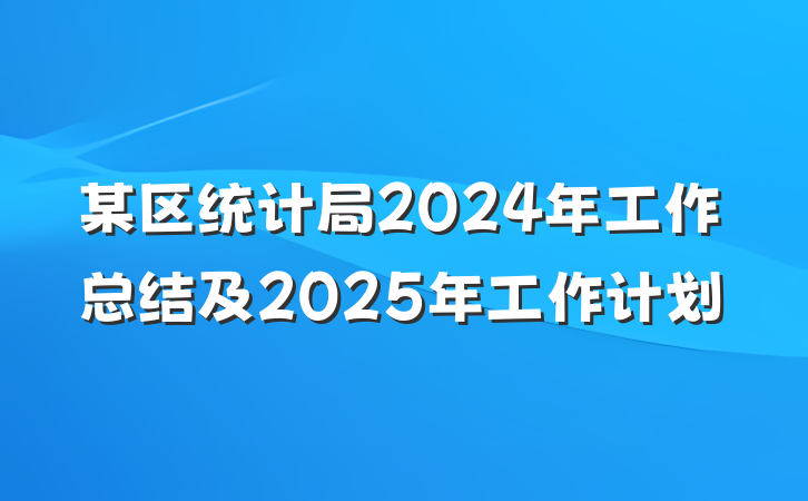 某区统计局2024年工作总结及2025年工作计划