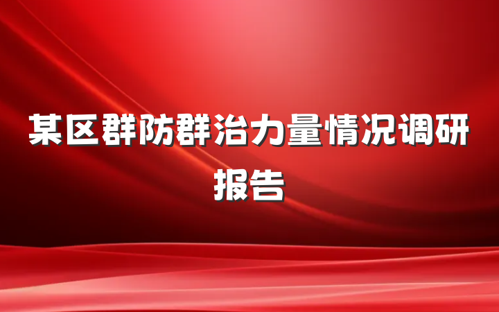 某区群防群治力量情况调研报告