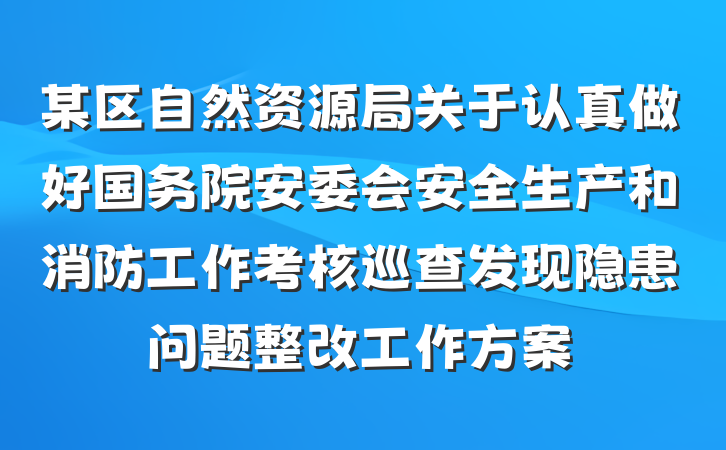 某区自然资源局关于认真做好国务院安委会安全生产和消防工作考核巡查发现隐患问题整改工作方案