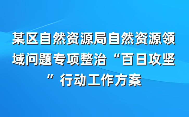 某区自然资源局自然资源领域问题专项整治“百日攻坚”行动工作方案
