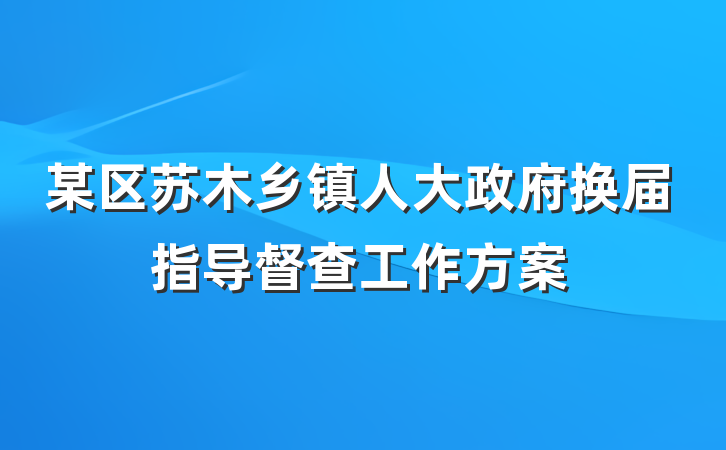 某区苏木乡镇人大政府换届指导督查工作方案