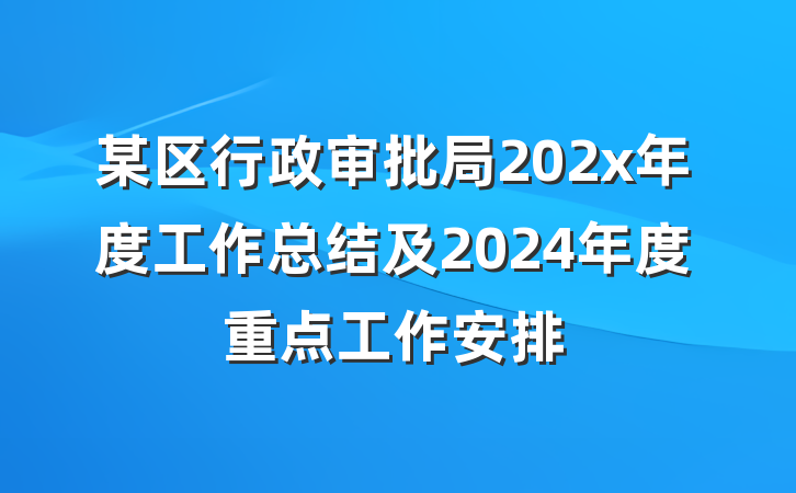 某区行政审批局202x年度工作总结及2024年度重点工作安排