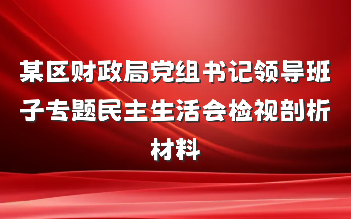某区财政局党组书记领导班子专题民主生活会检视剖析材料