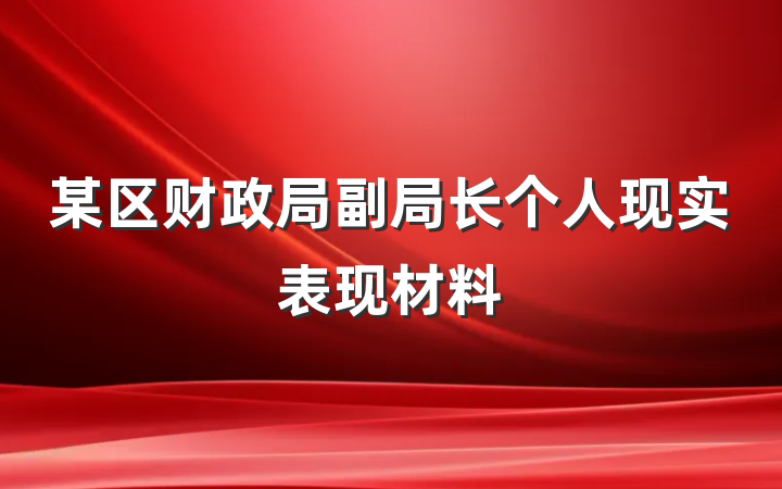某区财政局副局长个人现实表现材料