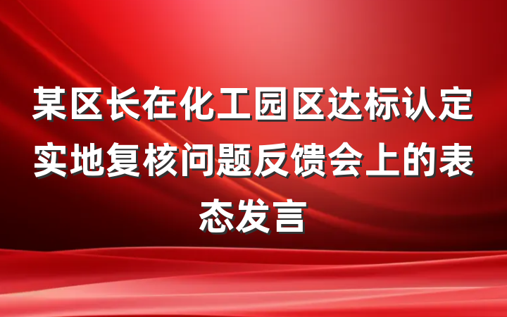 某区长在化工园区达标认定实地复核问题反馈会上的表态发言