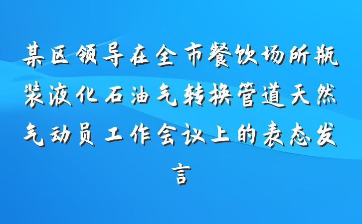 某区领导在全市餐饮场所瓶装液化石油气转换管道天然气动员工作会议上的表态发言
