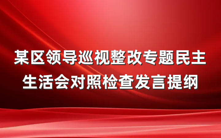 某区领导巡视整改专题民主生活会对照检查发言提纲